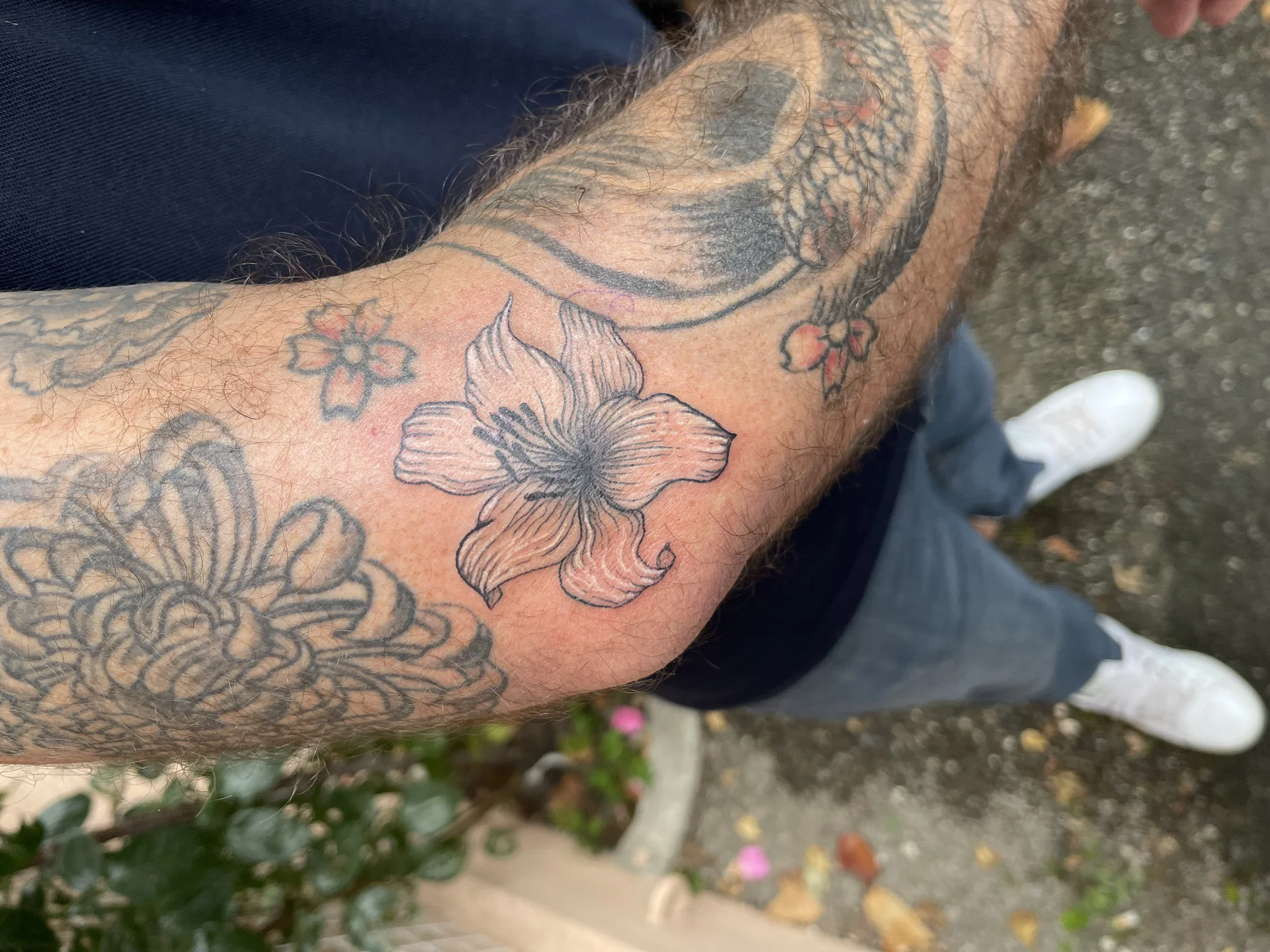 Tatouage micro-réaliste - Sarah Ink Studio Toulouse